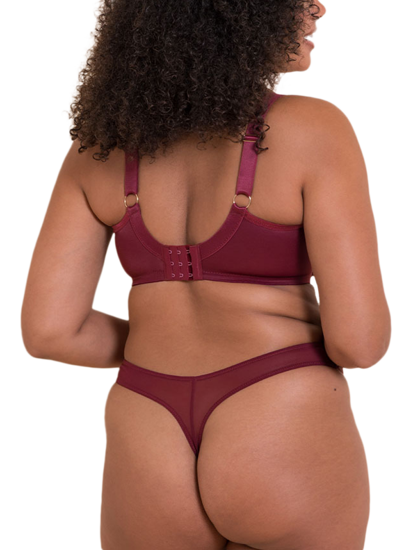 Product image 5 of 7, which shows Curvy Kate Lush Thong, Oxblood, XXL