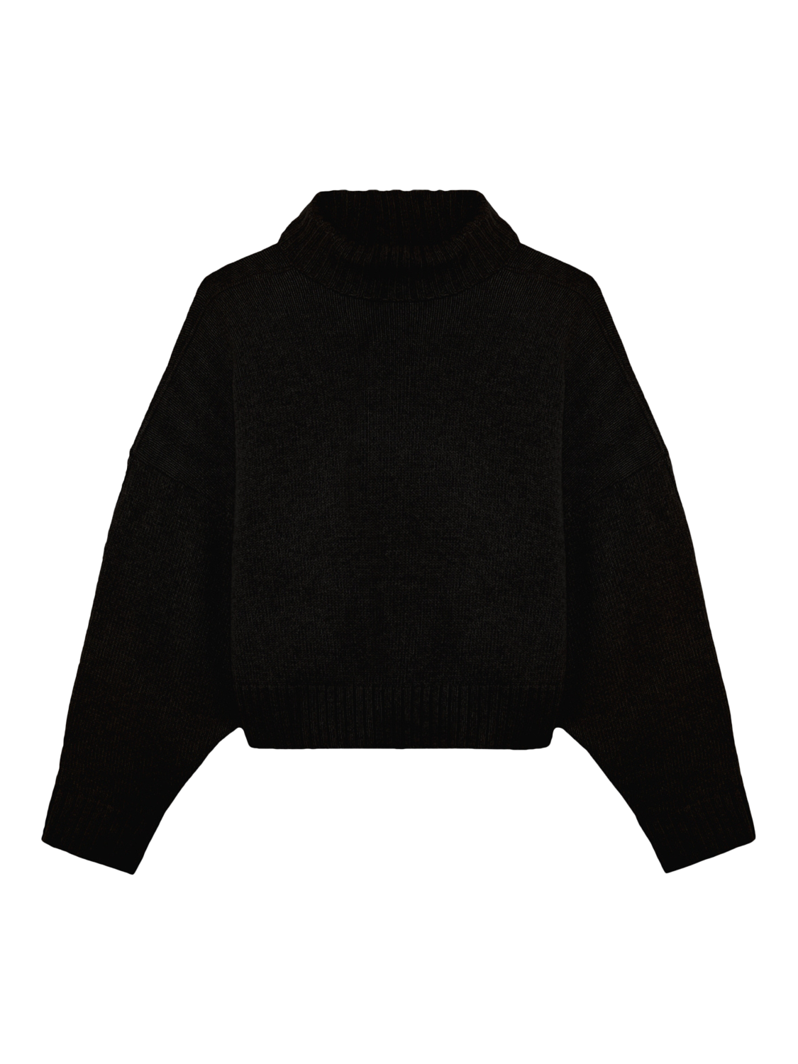 Product image 5 of 5, which shows EAST 42ND Stretchy Wool Rich Turtleneck Jumper, Black, XS