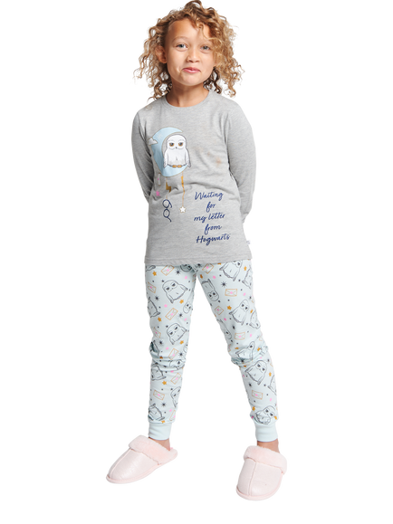Brand Threads Kids' Cotton Blend Harry Potter Hedwig Pyjama Set, Grey/Multi, Grey/Multi