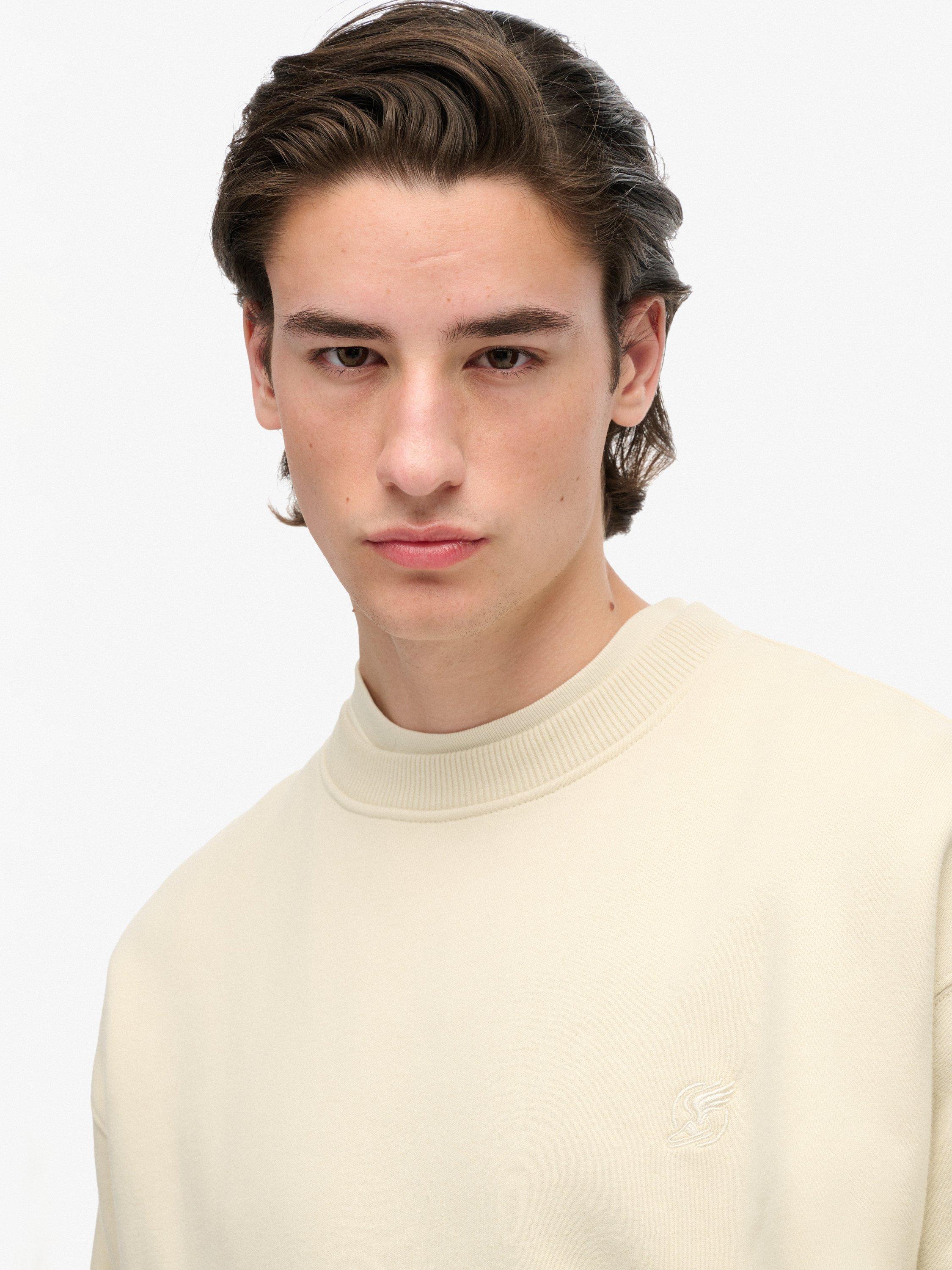 Product image 4 of 6, which shows Superdry Blank Oversized Crew Neck Cotton Sweatshirt, Light Grey, XL