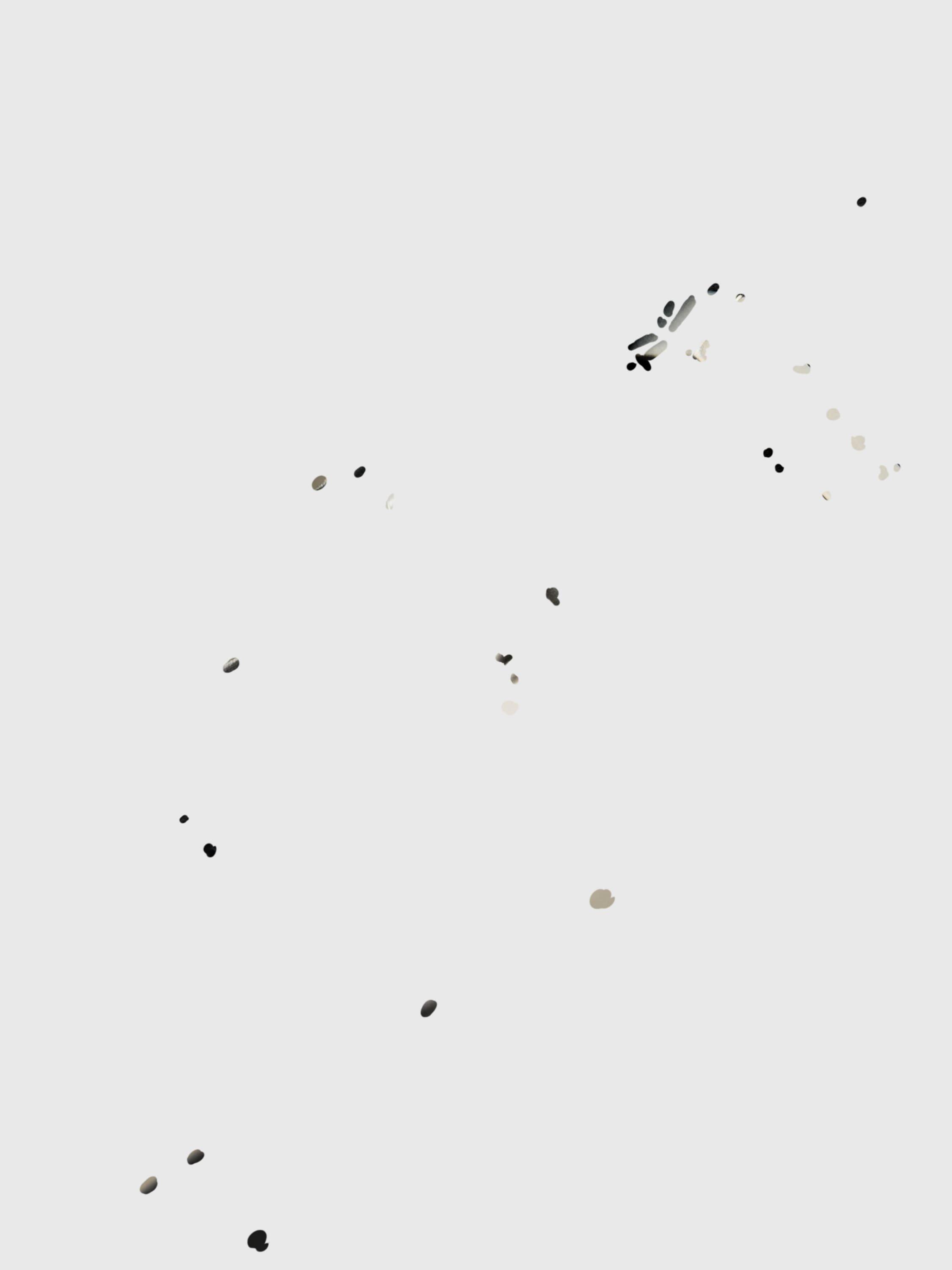 Product image 4 of 5, which shows AllSaints Idiya Mesh Slingback Shoes, Black, EU40