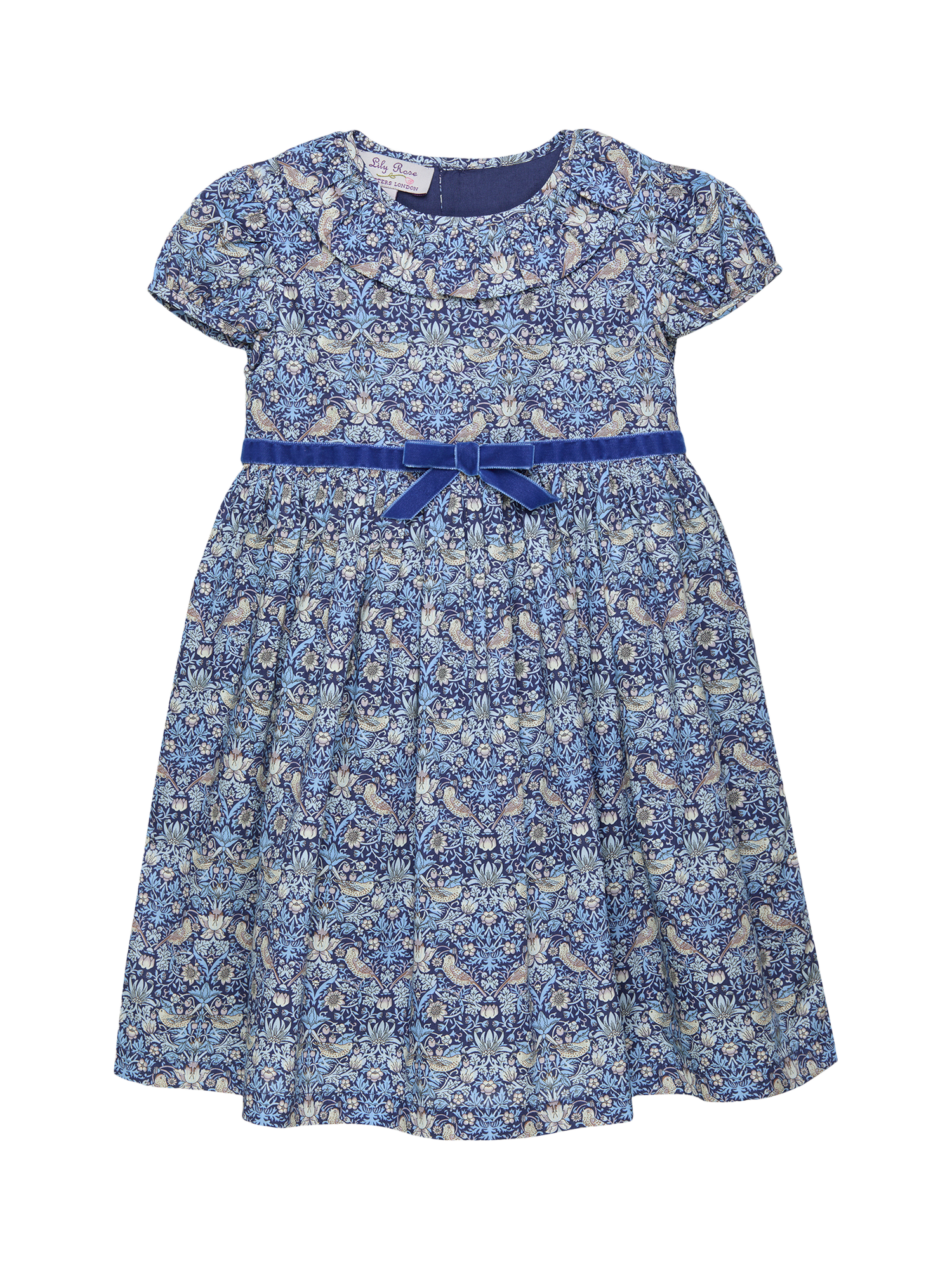 Product image 1 of 2, which shows Trotters Kids' Strawberry Thief Dress, Blue/Multi, 2 years