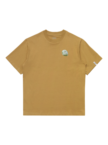 ELLIKER Organic Cotton Regular Fit Graphic Print T-Shirt, Sand