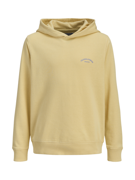 Jack & Jones Kids' College Logo Hoodie, Sunlight, Sunlight