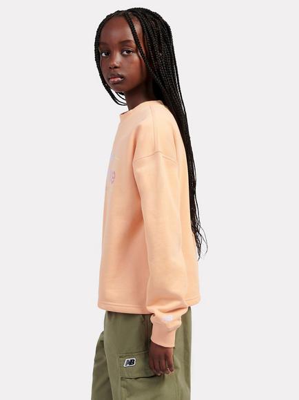 New Balance Kids' Sunrise Crest Graphic Crew Neck Sweatshirt, Dried Orange - view 2, Dried Orange
