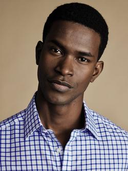 Charles Tyrwhitt Regular Fit Check Cotton Shirt, Royal Blue - view 2, Royal Blue