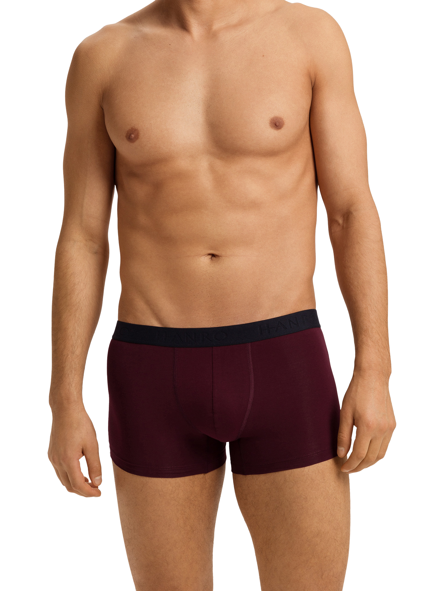 Product image 1 of 11, which shows Hanro Stretch Cotton Essentials Pants, Pack of 2, Barolo/Blue, S