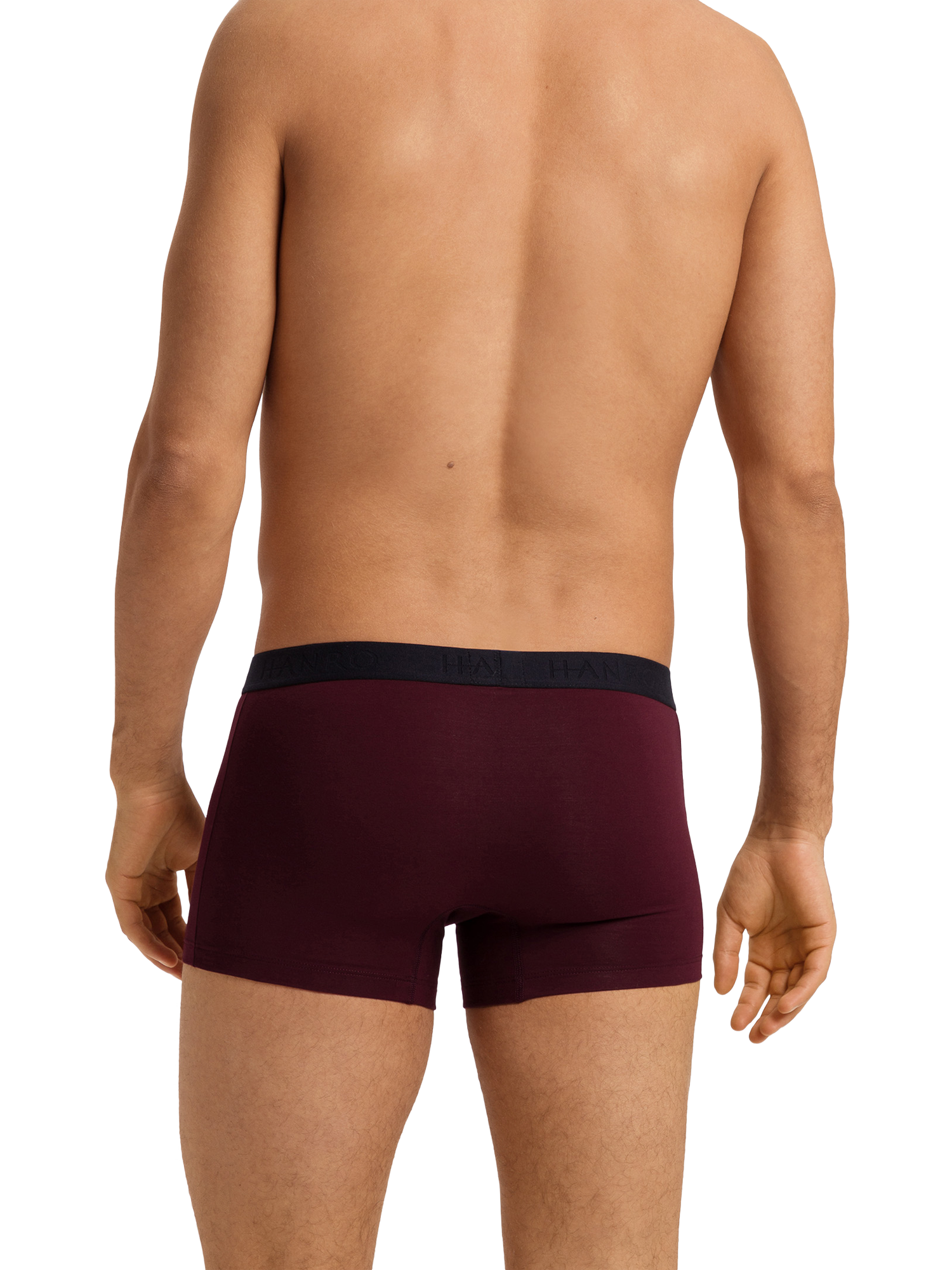 Product image 3 of 11, which shows Hanro Stretch Cotton Essentials Pants, Pack of 2, Barolo/Blue, S