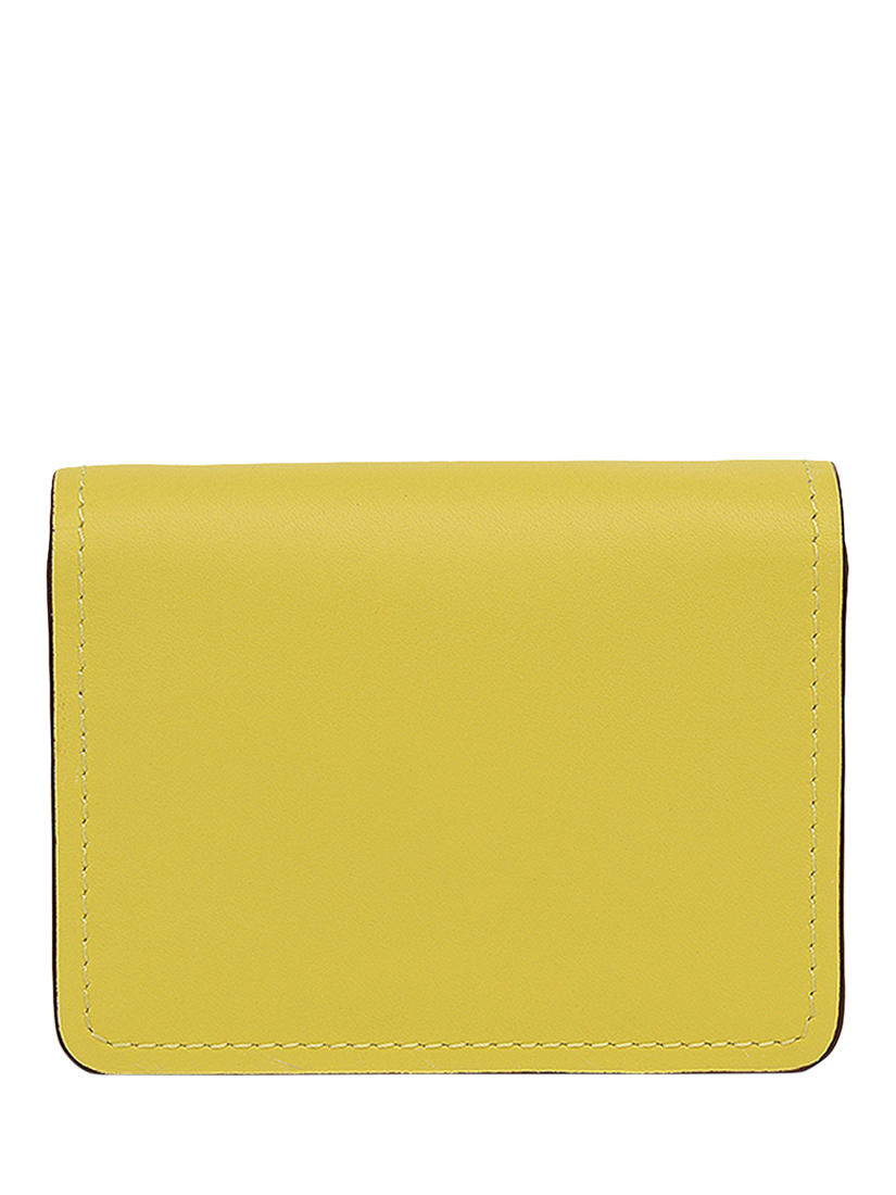 Product image 2 of 4, which shows Radley Chester Row Card Holder, Limoncello, One Size
