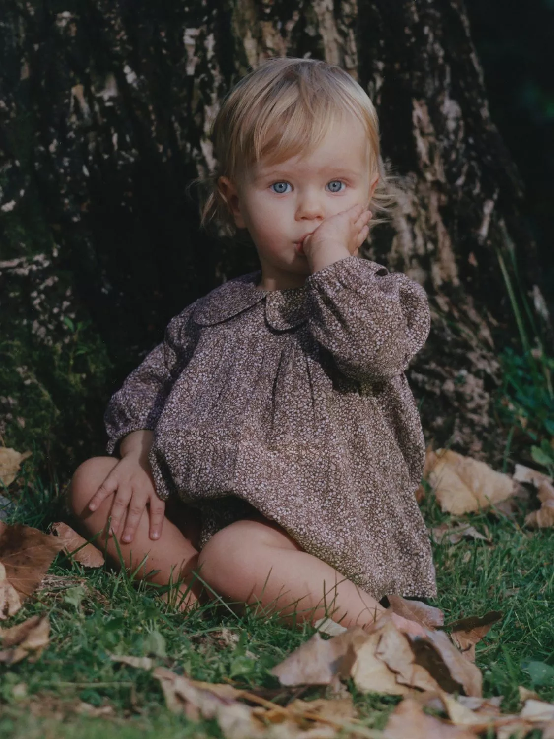 toddler girl wearing a multicolour peter pan collar dress