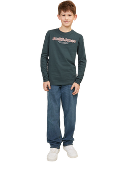 Jack & Jones Kids' Clark Regular Jeans, Blue Denim, Blue Denim
