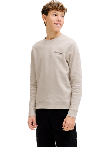 Jack & Jones Kids' Archive Crew Neck Sweatshirt, Moonbeam, Moonbeam