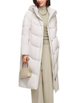 Bosideng Goose Down Long Coat - view 2, Light Grey