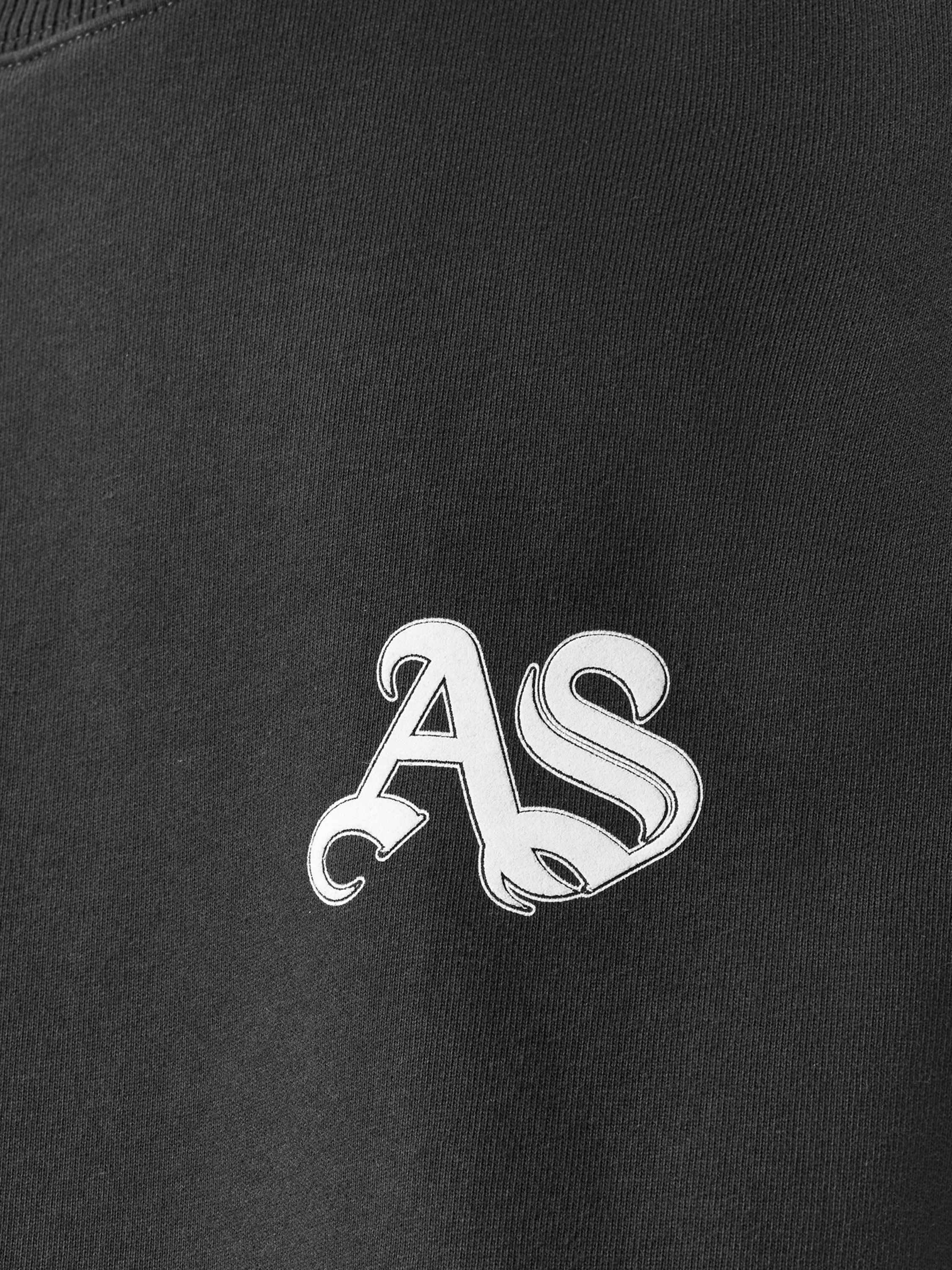 Product image 6 of 8, which shows AllSaints Icon Cotton Crew Neck Top, Washed Black, L