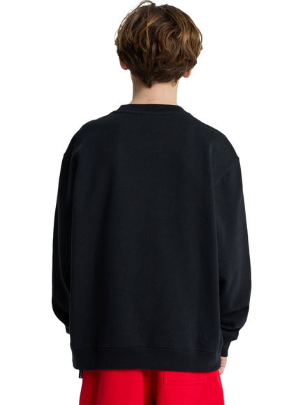 Quiksilver Kids', Mercury Trident Sweatshirt, Black - view 2, Black