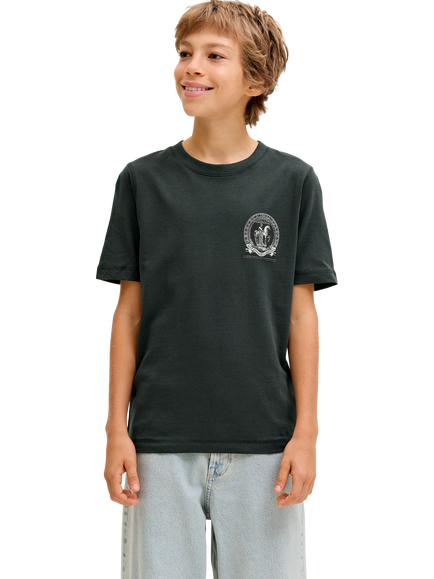Jack & Jones Jorargos Pure Cotton Back Print T-Shirt, Forest River, Forest River