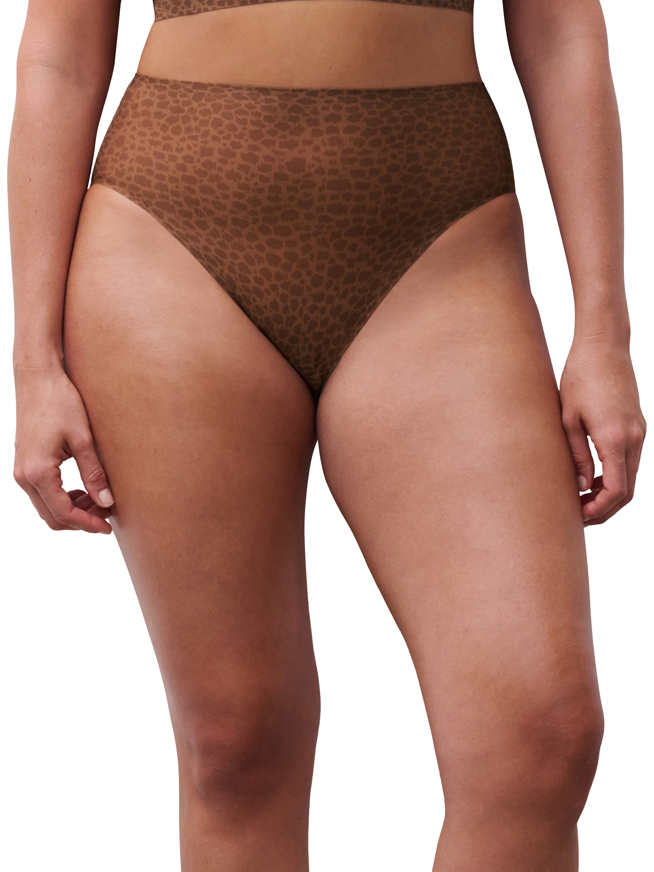 Product image 1 of 5, which shows Chantelle Norah Soft Stretch High Leg Knickers, Wild Brown, One Size