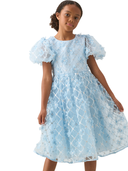 Angel & Rocket Kids' Francine Floral Mesh Puff Sleeve Dress, Blue