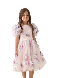 Angel & Rocket Kids' Floral Mesh Ruffle Sleeve Dress, Blush/Multi, Blush/Multi