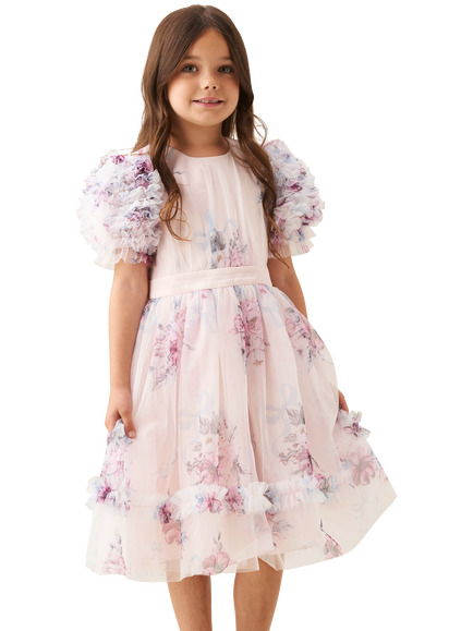 Angel & Rocket Kids' Floral Mesh Ruffle Sleeve Dress, Blush/Multi, Blush/Multi