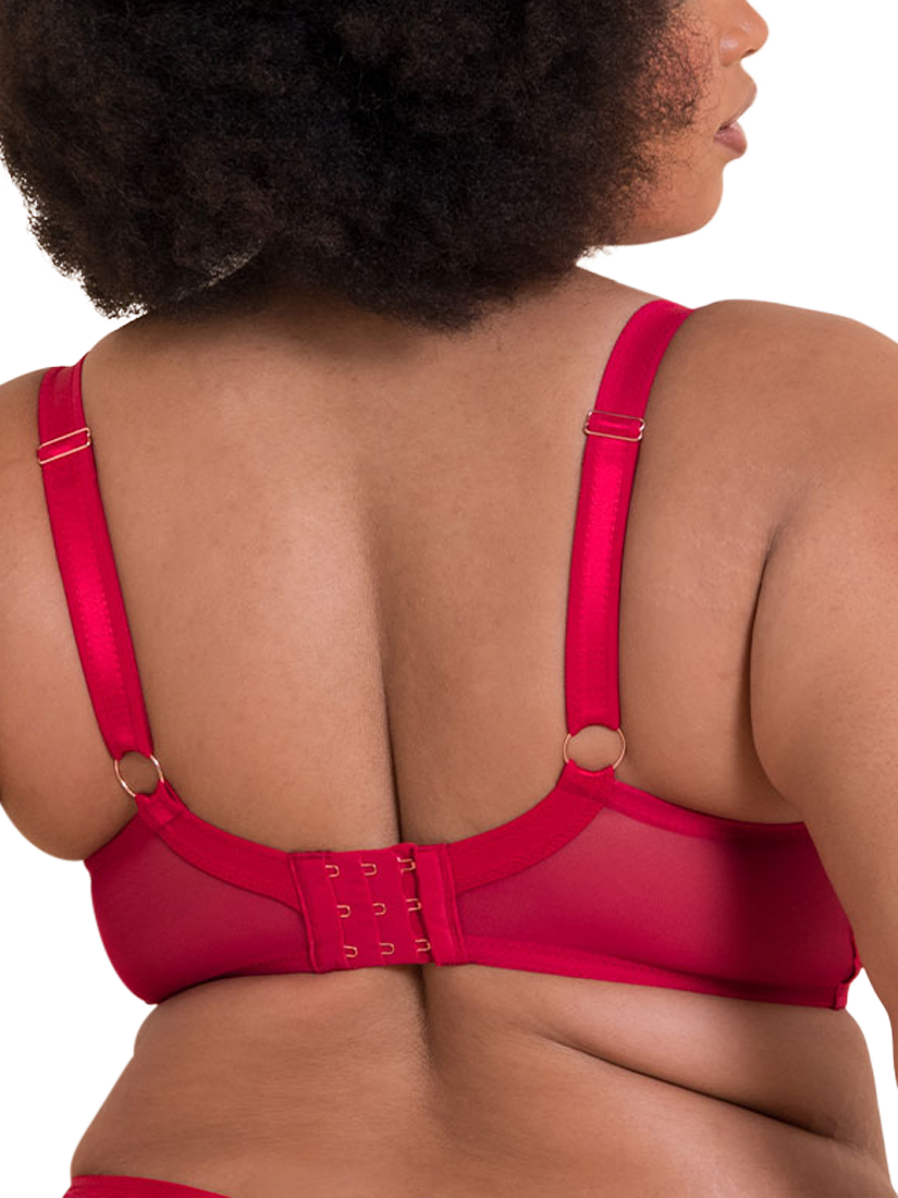 Product image 5 of 7, which shows Curvy Kate Loved Up Bra, Crimson, 30F