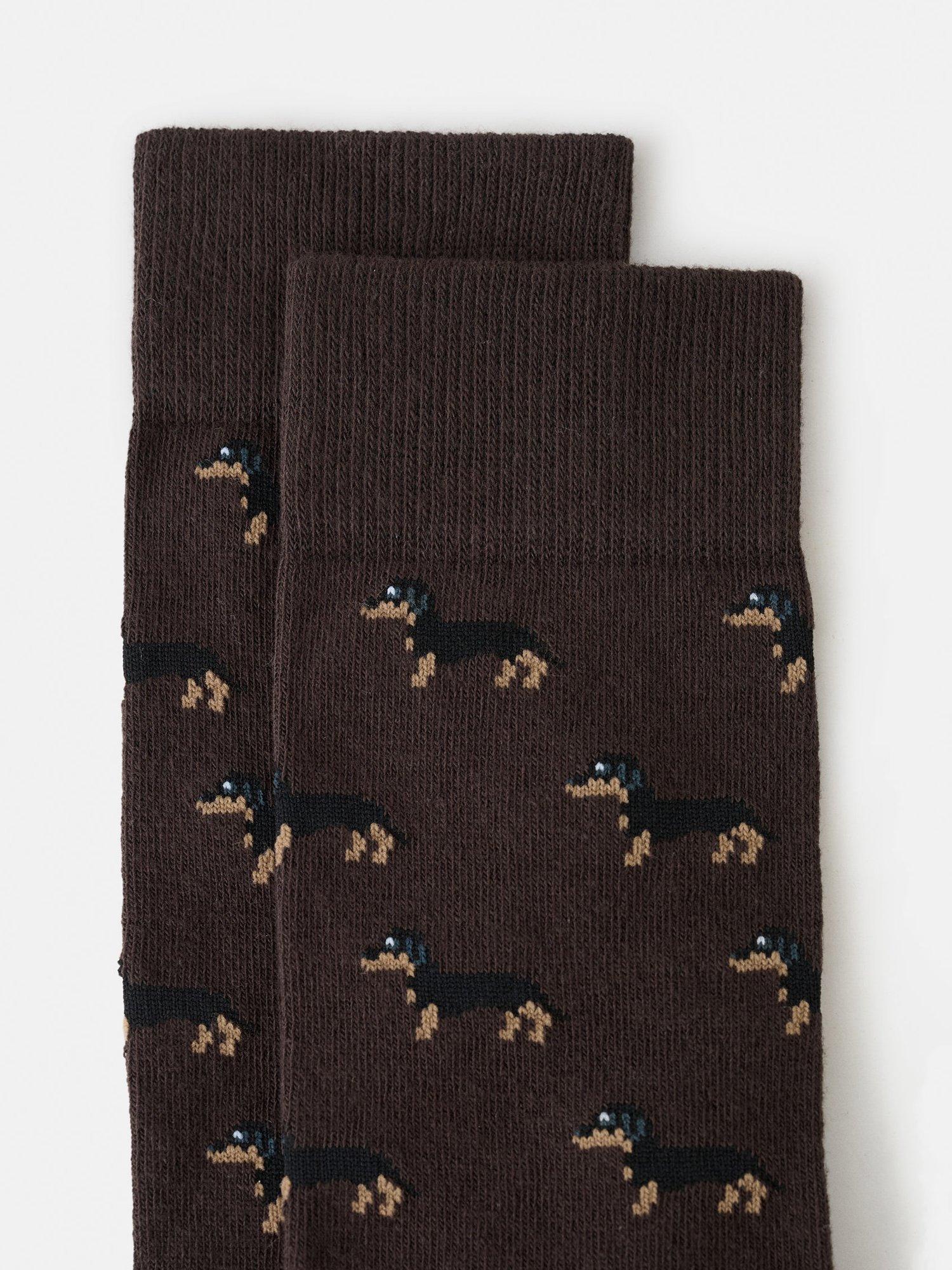 Product image 2 of 4, which shows Mango Cotton Blend Dog Socks, Brown, 6-8
