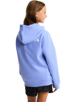 The North Face Kids' Relaxed Cotton Blend Suede Logo Hoodie, Blue - view 2, Blue