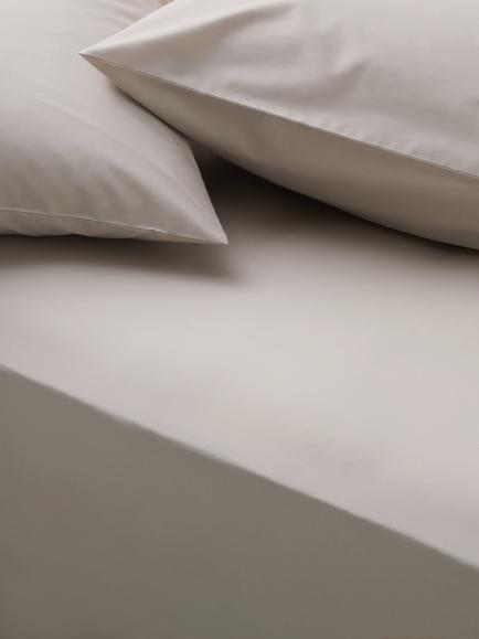 John Lewis Egyptian Cotton Percale Easy Care 260 Thread Count Fitted Sheet, Latte