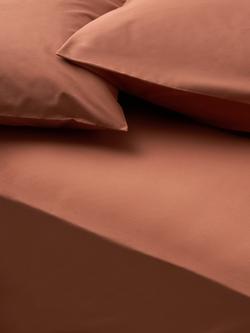 John Lewis Egyptian Cotton Percale Easy Care 260 Thread Count Fitted Sheet, Sienna