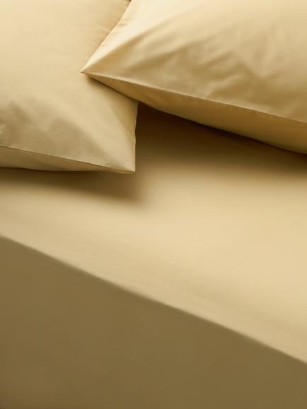 John Lewis Egyptian Cotton Percale Easy Care 260 Thread Count Fitted Sheet, Hay Yellow