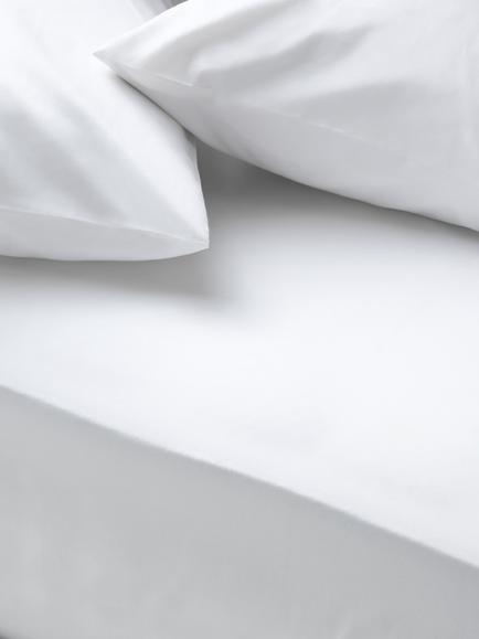 John Lewis Egyptian Cotton Percale Easy Care 260 Thread Count Fitted Sheet, White