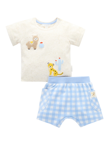 Purebaby Baby Gingham Shorts & T-Shirt Set, Caribbean Gingham, Caribbean Gingham