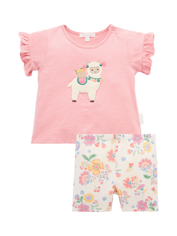 Purebaby Baby Ruffle T-Shirt & Shorts Set, Papaya, Papaya