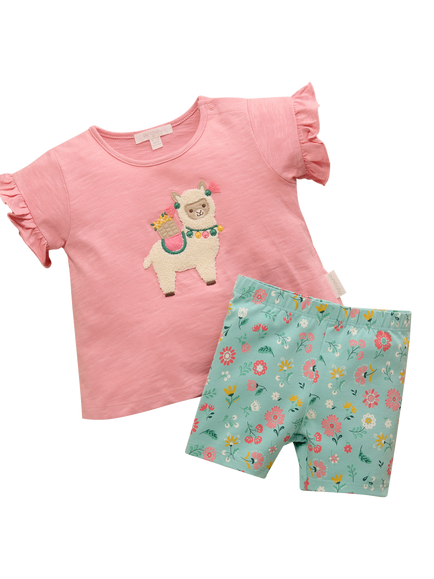 Purebaby Baby Ruffle T-Shirt & Shorts Set, Papaya, Papaya