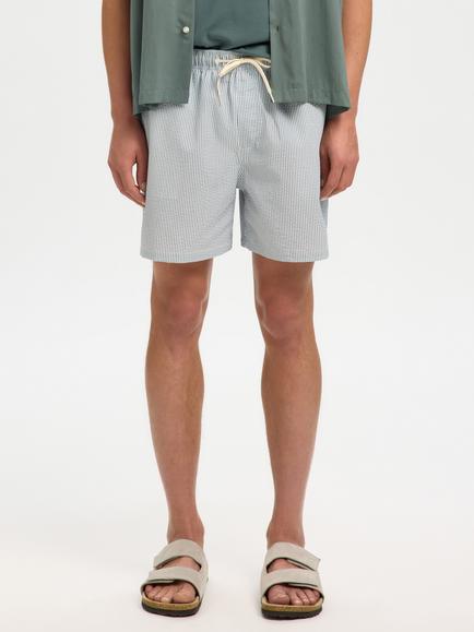 Selected Stripe Regular Fit Swim Shorts, Blue Mirage W. Egret