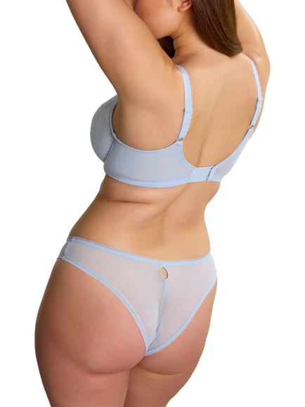 Panache Meadow Brazilian Knickers, Blue - view 2, Blue