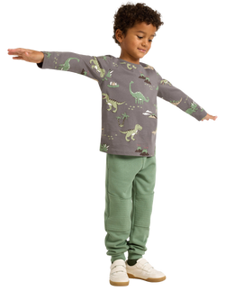 Lindex Kids' Cotton Long Sleeved Dinosaur T-Shirt, Grey - view 2, Grey