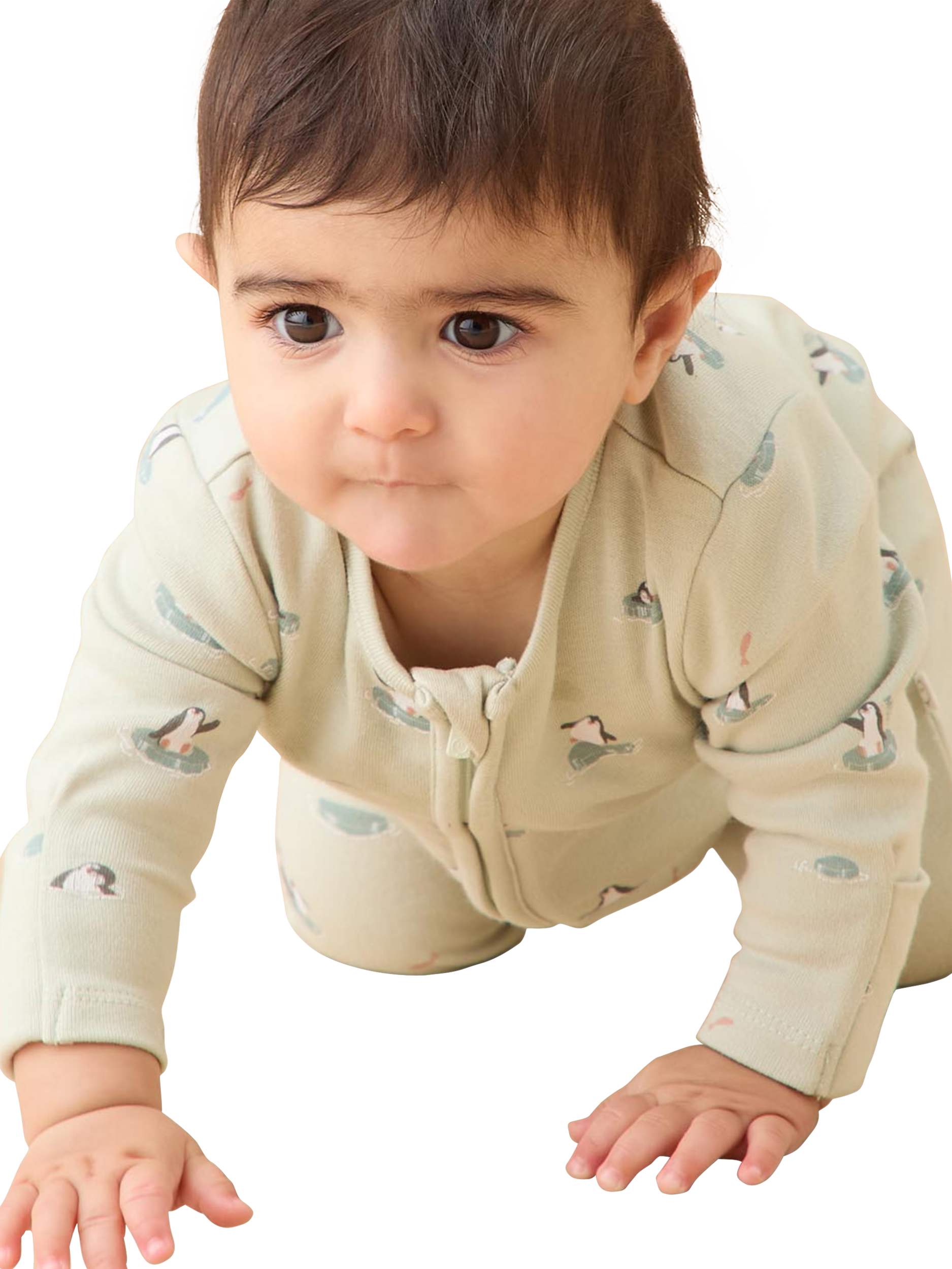 Product image 3 of 5, which shows MORI Baby Penguin Zip Sleepsuit, Mint/Multi, 6-9 months