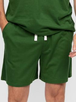 Cyberjammies Charlie Jersey Pyjama Shorts, Green, Green