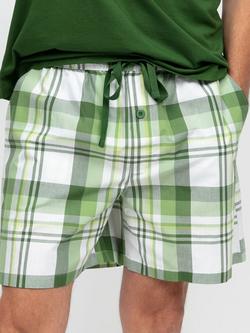 Cyberjammies Charlie Cotton Check Pyjama Shorts, Green, Green