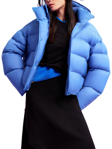 Bosideng Innovative Hooded Down Puffer Jacket - view 2, Royal Blue
