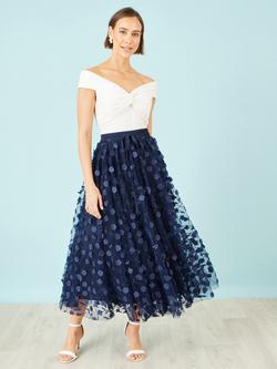 Yumi Mesh Floral Applique Midi Skirt, Navy, Navy