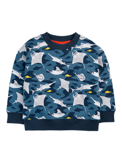 Frugi Kids' Superb Cotton Fleece Sweatshirt, Ray Fever, Ray Fever