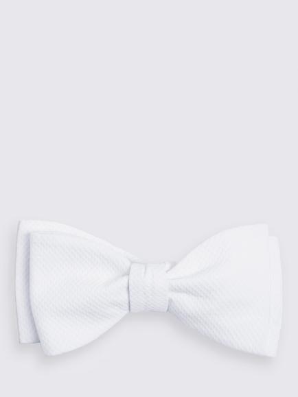 Moss Marcella Cotton Self-Tie Bow Tie, White, White