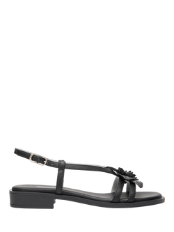 NeroGiardini Adrano Leather Strappy Sandals, Black