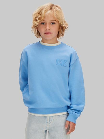 Calvin Klein Kids' Oversized Sweatshirt, Provence, Provence