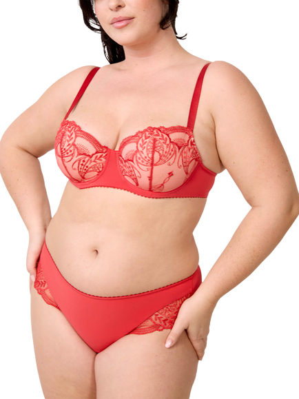 Maison Lejaby Poesie Knickers, Amor