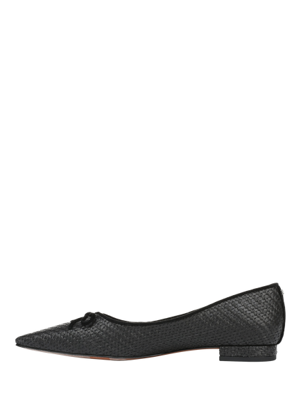 Sam Edelman Esmira Leather Pointed Toe Ballet Flats, Black - view 2, Black
