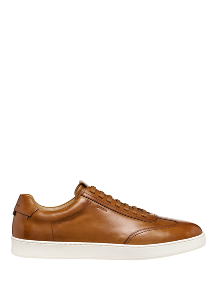 Geox Regio Leather Lace Up Trainers, Cognac