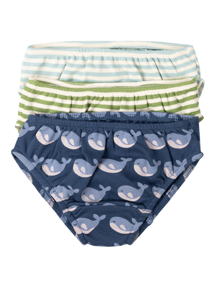 Little Green Radicals Kids' Organic Cotton Briefs, Pack of 3, Blue, Blue